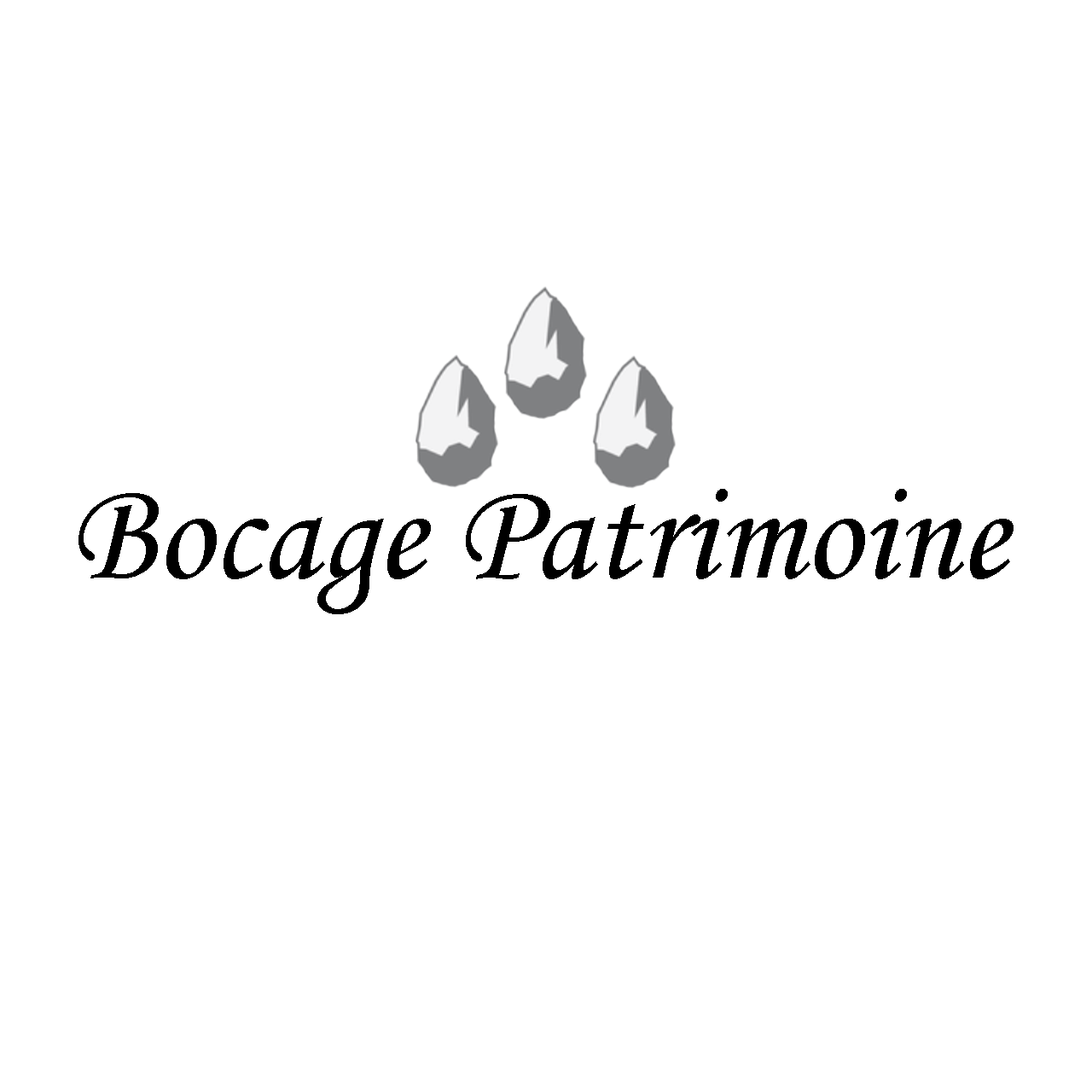 BOCAGE PATRIMOINE, inscrit à l'annuaire deeptinvest