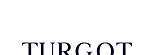 TURGOT ASSET MANAGEMENT